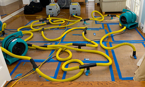 Professional Crawl Space Water Removal technician working in Lucas, OH